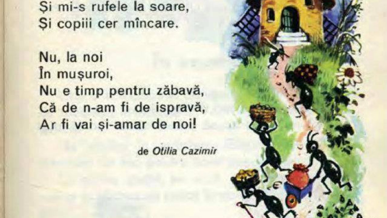 take down minor Lean Otilia Cazimir, poeta sufletelor simple - Infolife